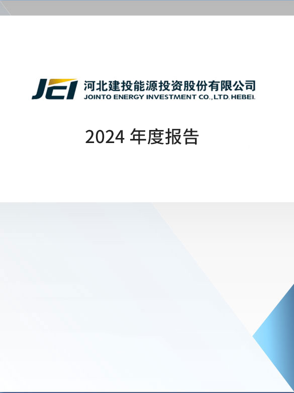 2024年年度报告